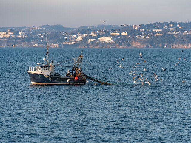 TMCM Commercial Fishing Sector